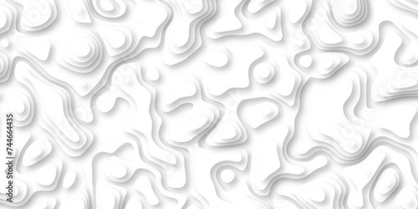Fototapeta  3d render, abstract white paper background. Paper cut vector art background banner texture. multi layer cutout geometric pattern on vector, Abstract soft white background with waves.