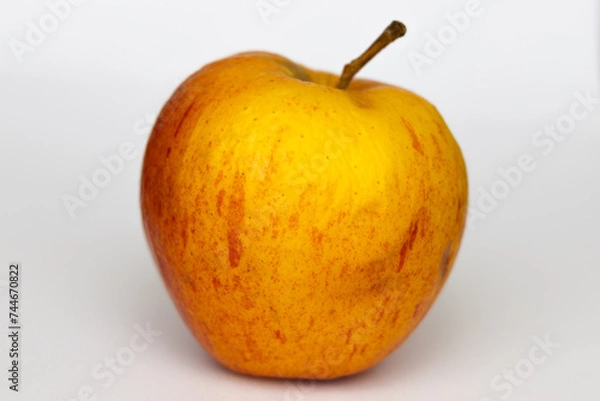 Obraz Polskie jabłko