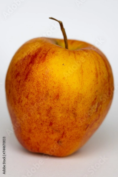 Obraz Polskie jabłko