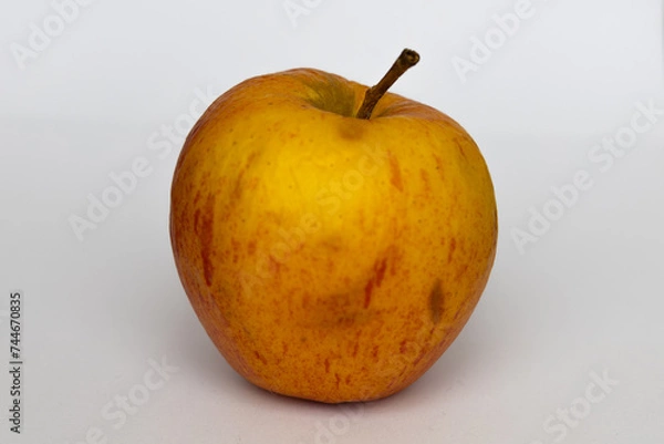 Obraz Polskie jabłko