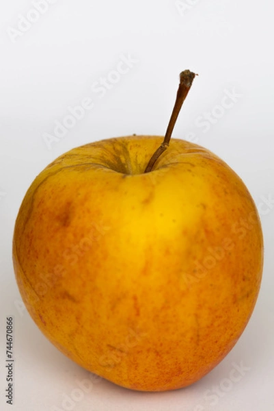 Obraz Polskie jabłko