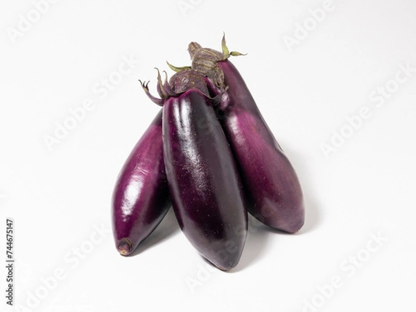 Obraz eggplants isolated on white background