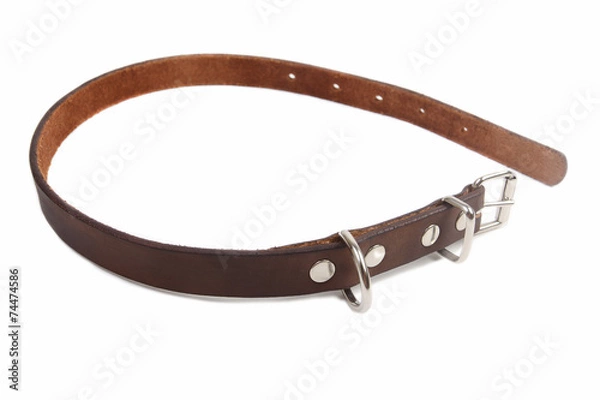 Obraz Dog Collar