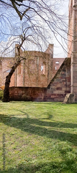 Fototapeta Stiftsruine in Bad Hersfelder