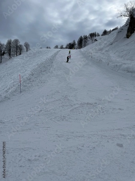 Obraz skiing in the mountains