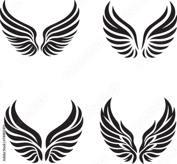 Fototapeta wings vector illustration 