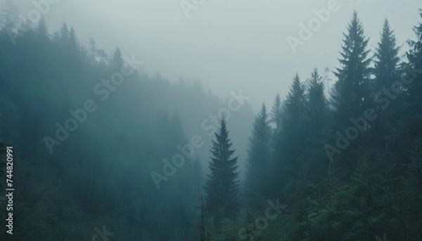 Fototapeta Dramatic and mysterious forest