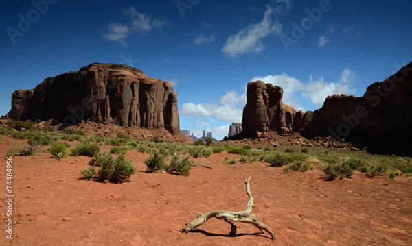 Fototapeta secheresse