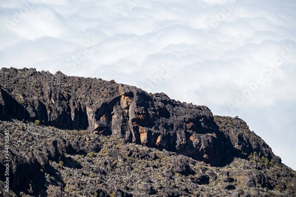 Fototapeta Majestic Mountain Peaks Above the Clouds