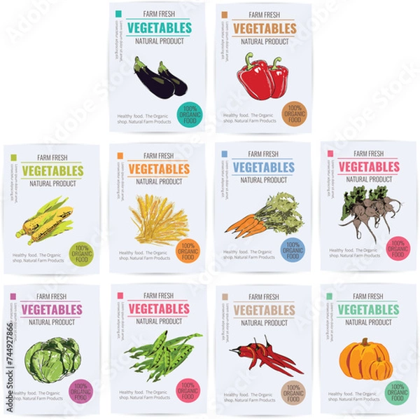 Obraz Fresh vegetable base food on flyers or advertisement, sale tag labels vector image. Colorful vegetable image.