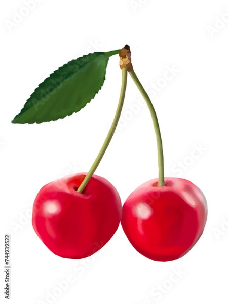 Fototapeta さくらんぼ2個（葉付き）