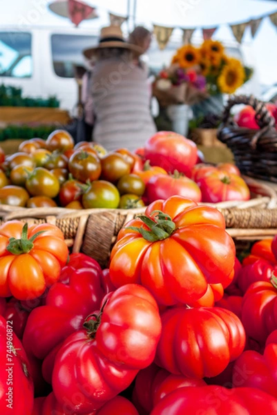 Obraz Colorful assortment of fresh organic heirloom tomatoes sitting on wooden table. High quality photo