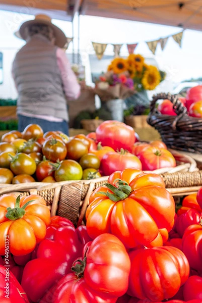 Obraz Colorful assortment of fresh organic heirloom tomatoes sitting on wooden table. High quality photo