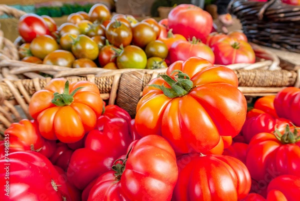 Obraz Colorful assortment of fresh organic heirloom tomatoes sitting on wooden table. High quality photo