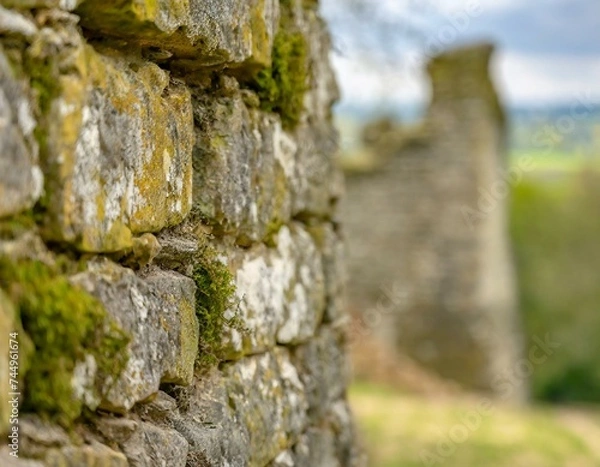 Fototapeta Old time stone wall with moss