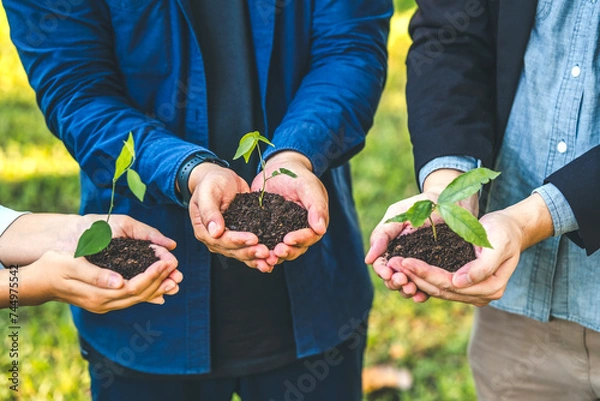 Fototapeta Environmental Collaboration in green business people conserve the green business growing with plants in the hands sustainable development goals. Future environmental ESG modernization development