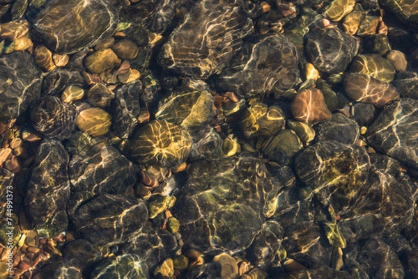 Fototapeta Clear river water and pebbles