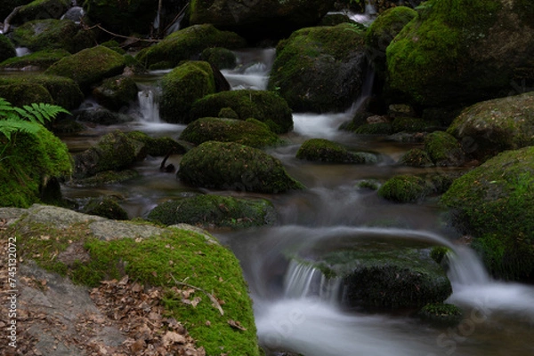 Obraz Kleiner Wasserfall im Schwarzwald