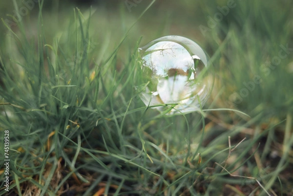 Obraz Bubble in the grass.