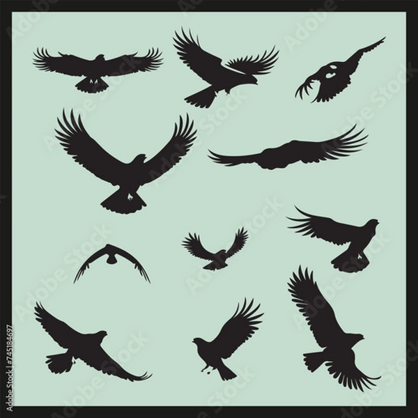 Obraz Eagle black silhouette set vector, silhouettes set