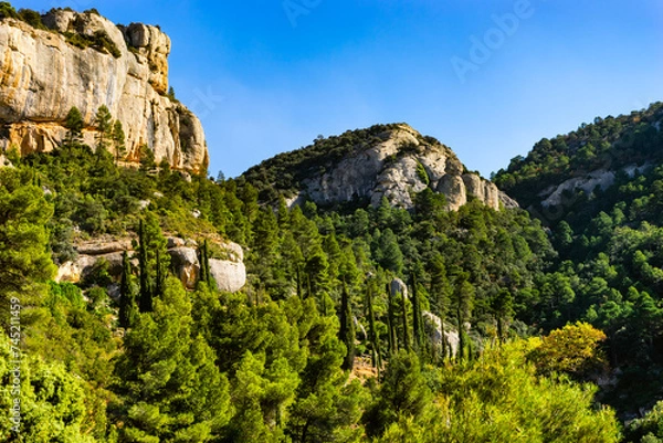 Obraz landscape with rocks