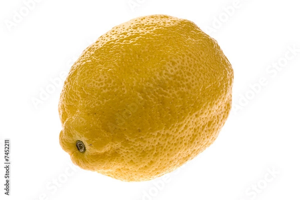 Obraz Lemon