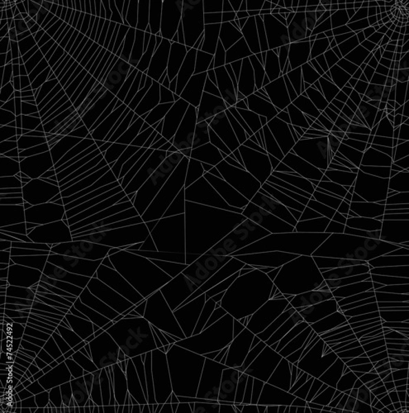 Obraz white thin webs background
