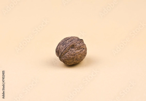 Obraz walnut