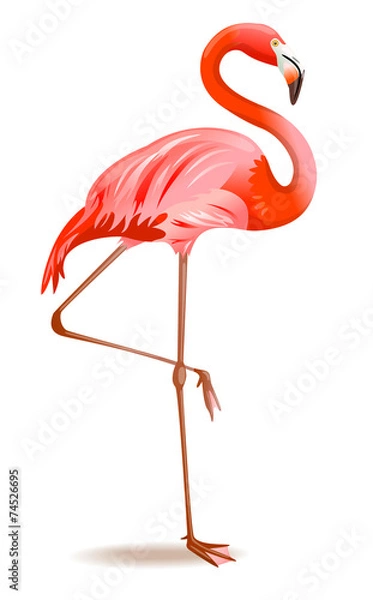 Obraz Ilustracja wektorowa Flemingo