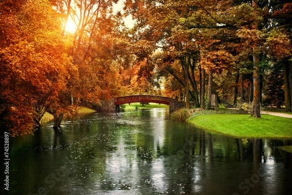 Obraz Żelazowa Wola