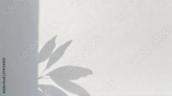 Fototapeta Close-up view of a mockup on a monochrome wall with soft shadows from leaves