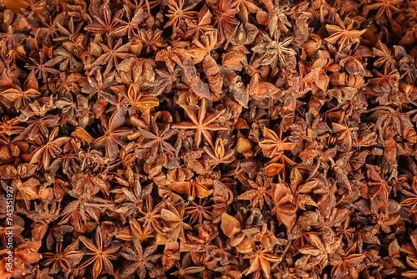 Fototapeta anis estrellado