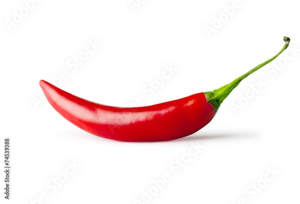Obraz red hot chili pepper isolated