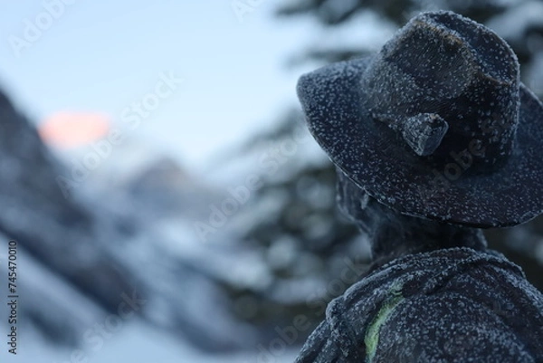 Fototapeta statue in winter