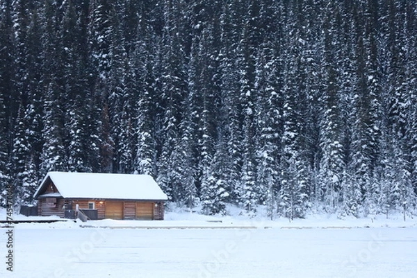 Obraz cabin in the snow