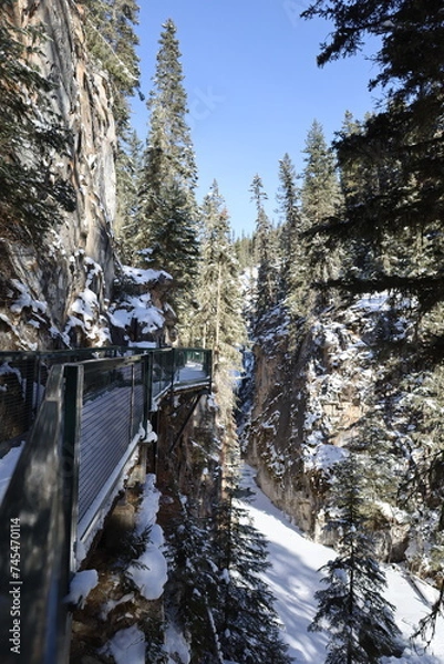 Obraz winter in the mountains