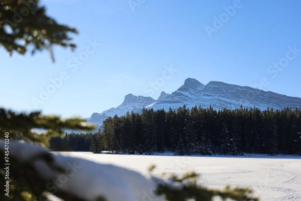 Obraz winter landscape in the mountains