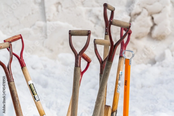 Obraz 雪に突き刺さった複数のスコップ
