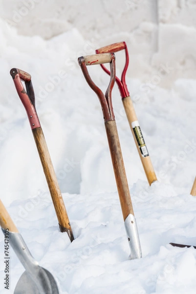 Obraz 雪に突き刺さった複数のスコップ