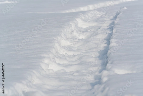 Obraz 雪上についた、何かが通った跡