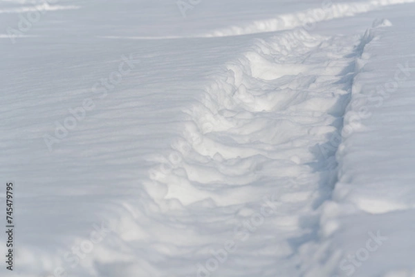 Obraz 雪上についた、何かが通った跡