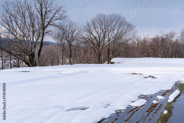 Obraz 雪が解け始めた畑の風景