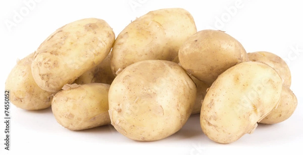 Obraz fresh patotoes