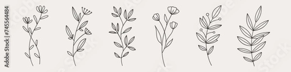 Fototapeta Hand drawn flower doodles. Hand drawn sketch of spring flower plant. Vector simple flower.