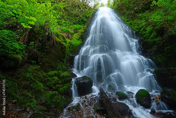 Fototapeta waterfall in forest