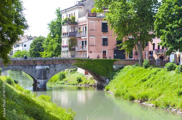 Obraz Bridge in Padua