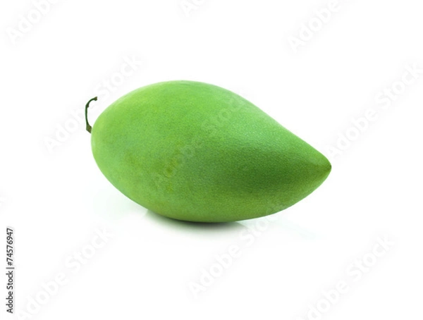 Obraz raw mango with stem on white
