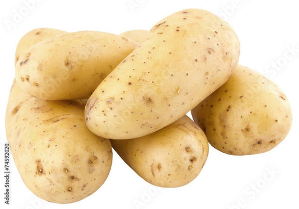 Obraz fresh patatoes