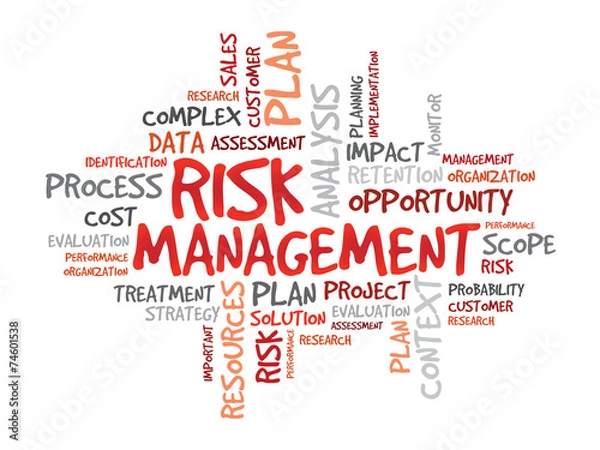 Obraz Word cloud of RISK MANAGEMENT related items, vector
