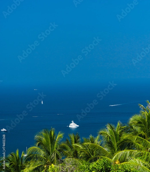 Fototapeta Palm Island Azure Bay